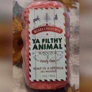 NWT! Candy Cane Scented Soap In A Sponge Foot Scrubber